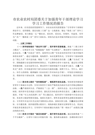 市农业农村局团委关于加强青年干部理论学习学习工作情况的报告