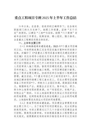 重点工程项目专班2025年上半年工作总结 (1)