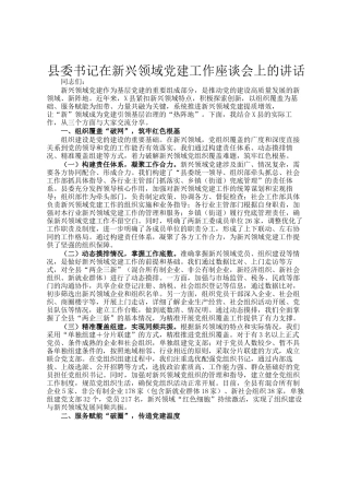 县委书记在新兴领域党建工作座谈会上的讲话
