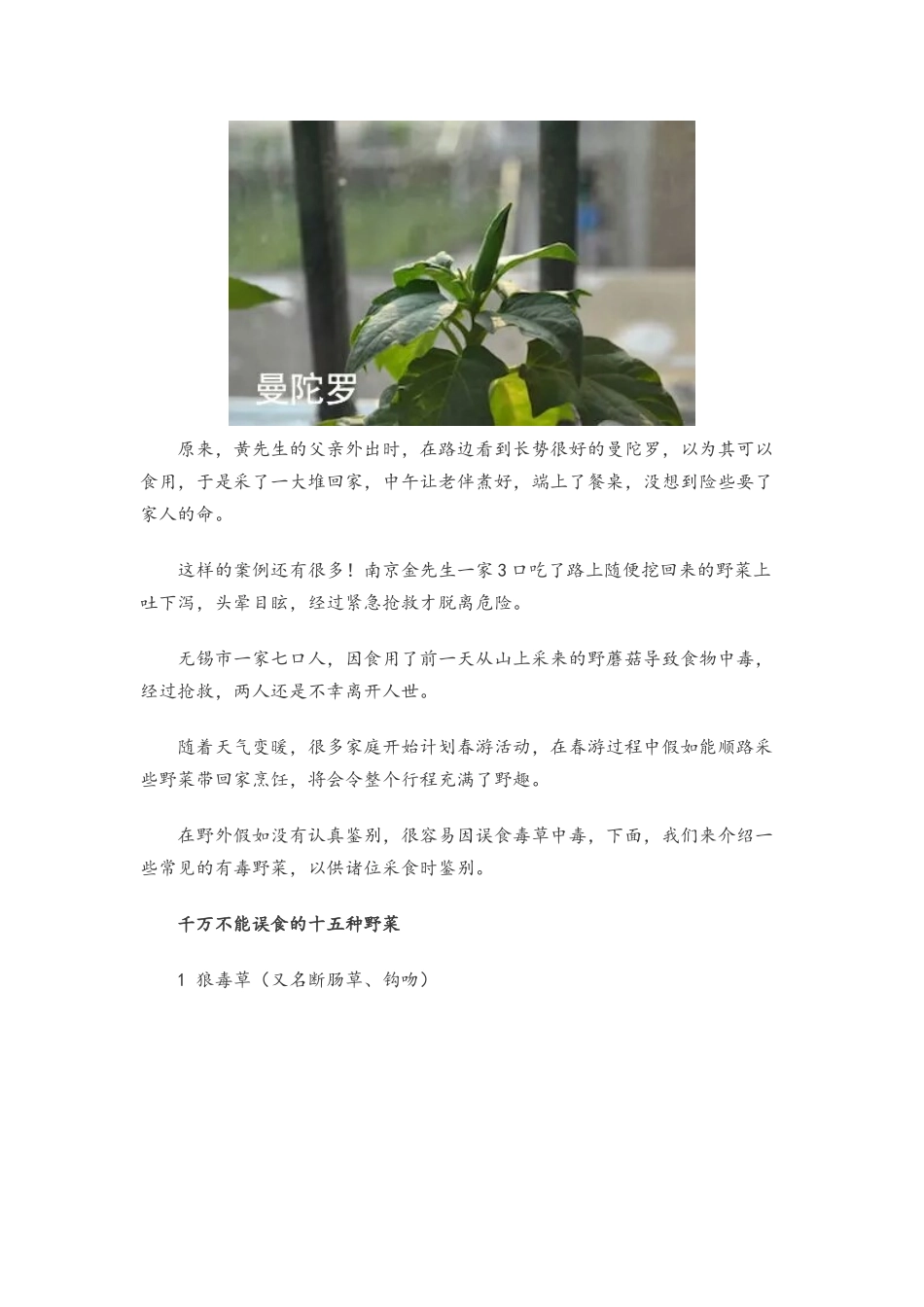 十六种野菜有毒_第2页