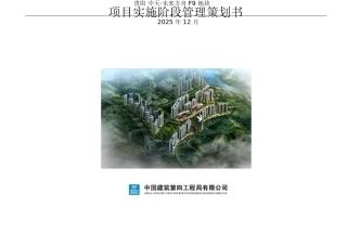 华东项目策划书