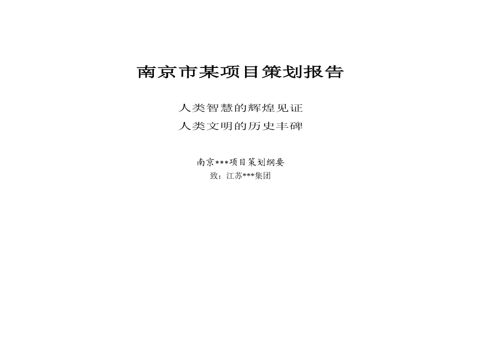 南京市某项目策划报告_第1页