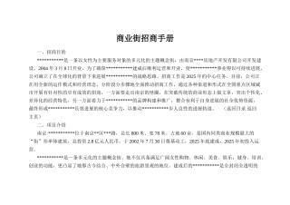 南京某商业街招商手册