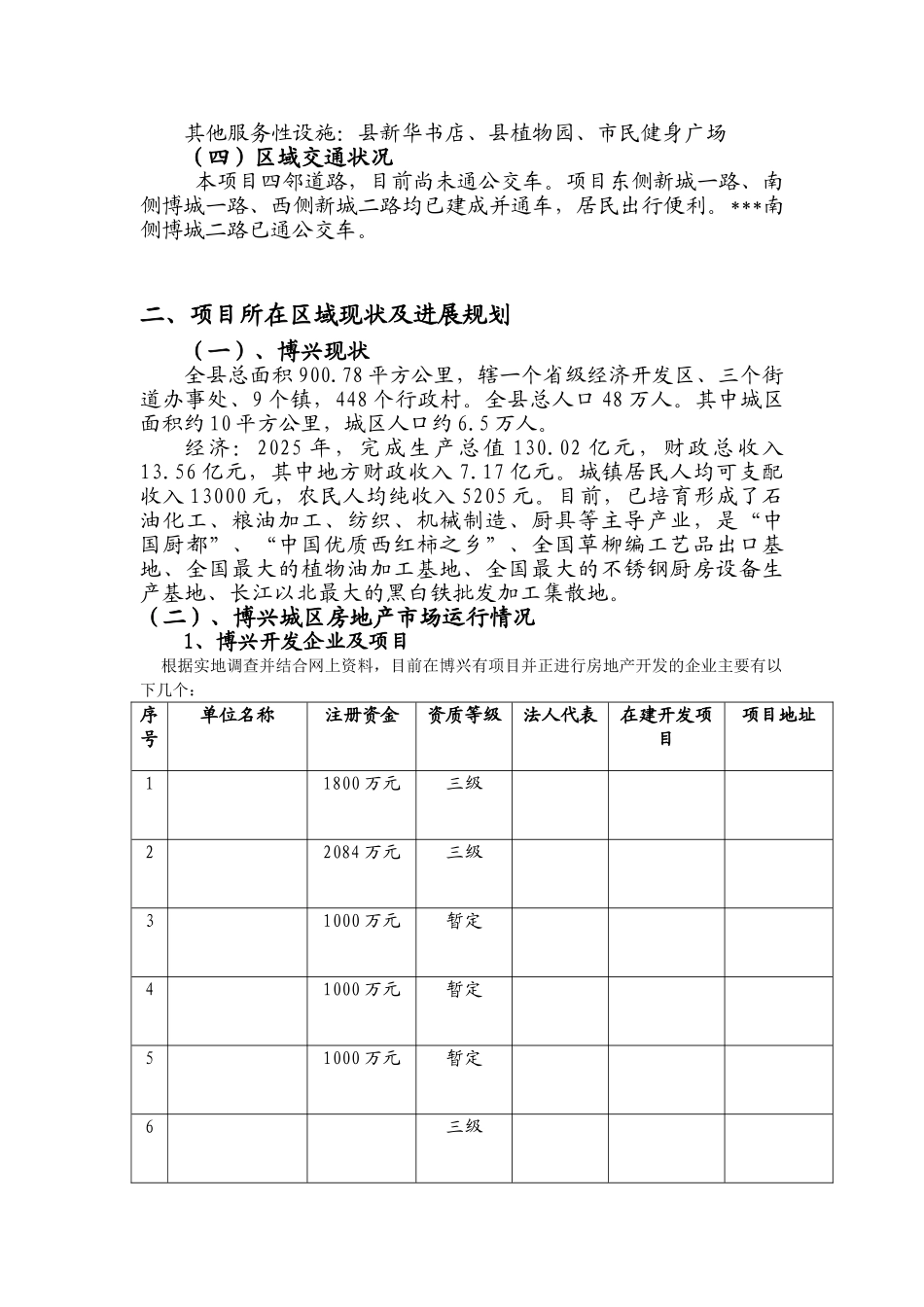 博兴县某项目可行性研究报告_第2页