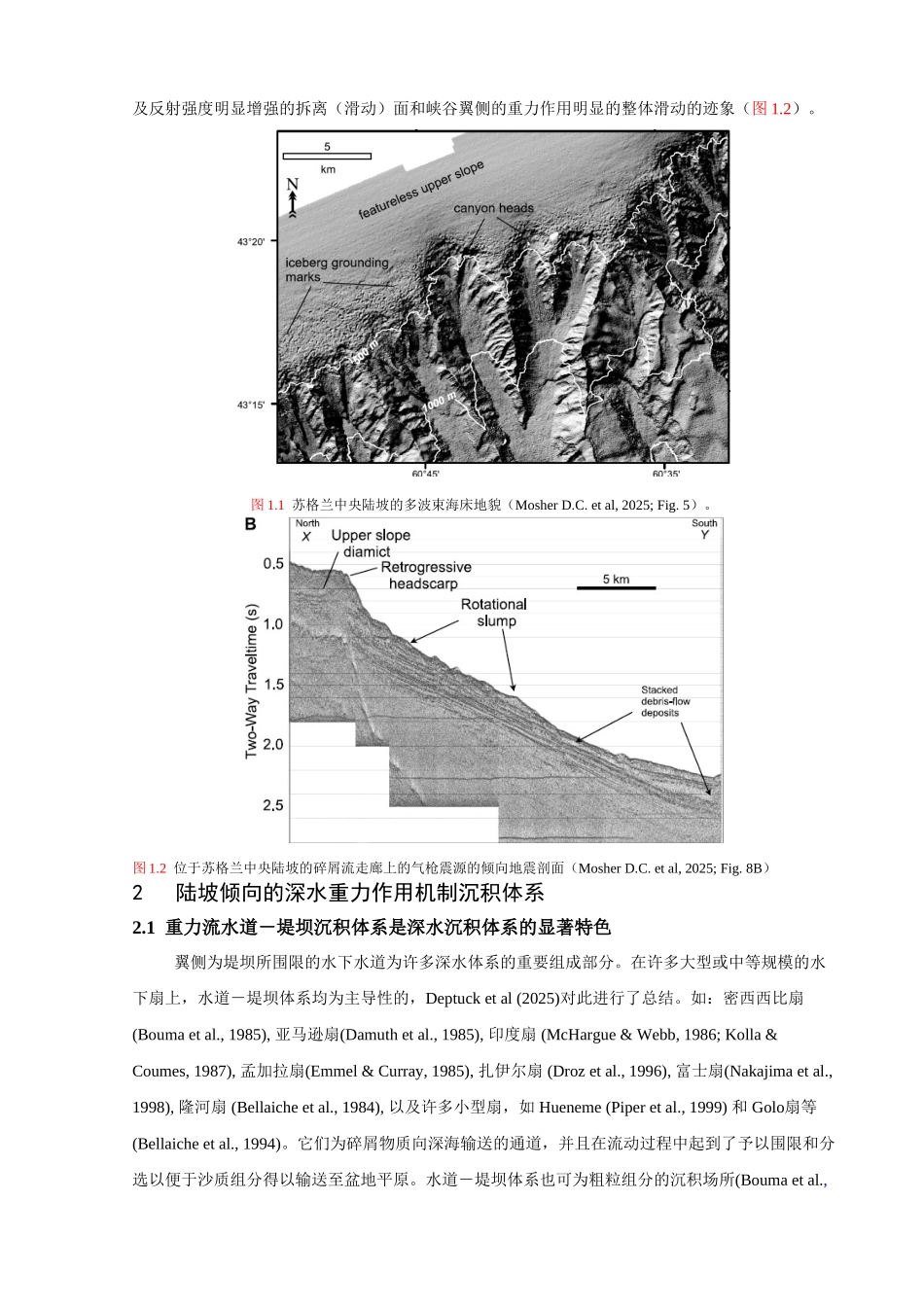 博士开题报告-文献综述-wanghairong_第2页