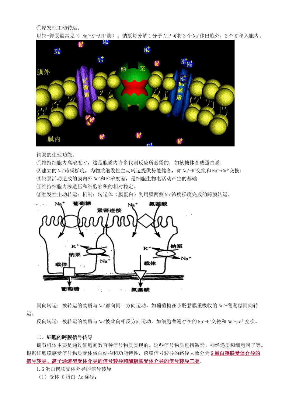 卫生类主管药师考试基础知识-生理学_第3页