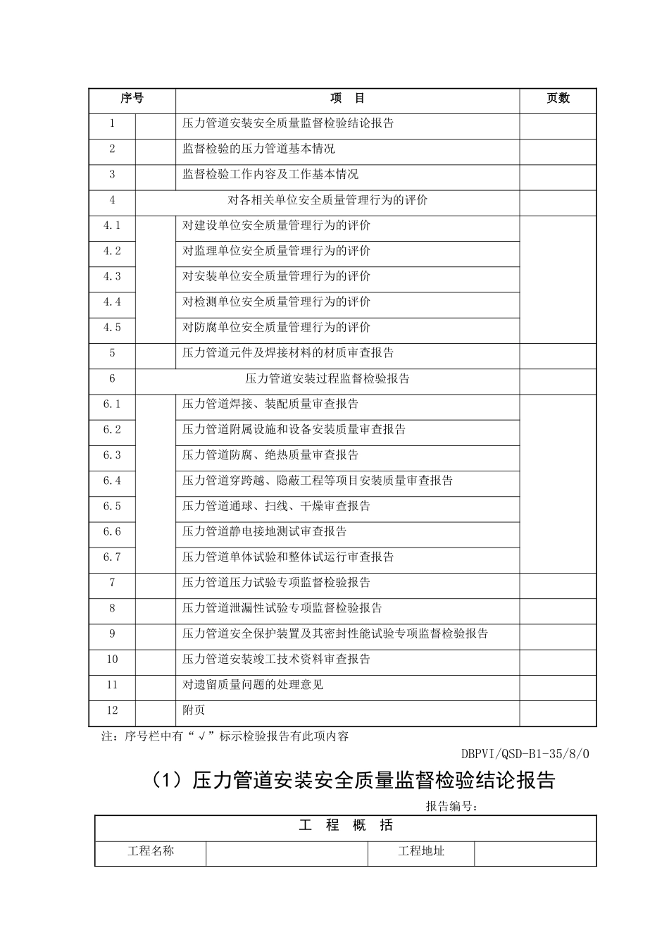 压力管道安装安全质量监督检验报告_第3页