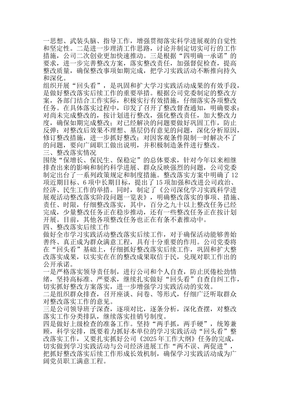 发展观回头看工作总结-精品范文资料_第2页