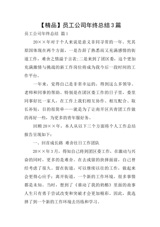 员工公司年终总结3篇