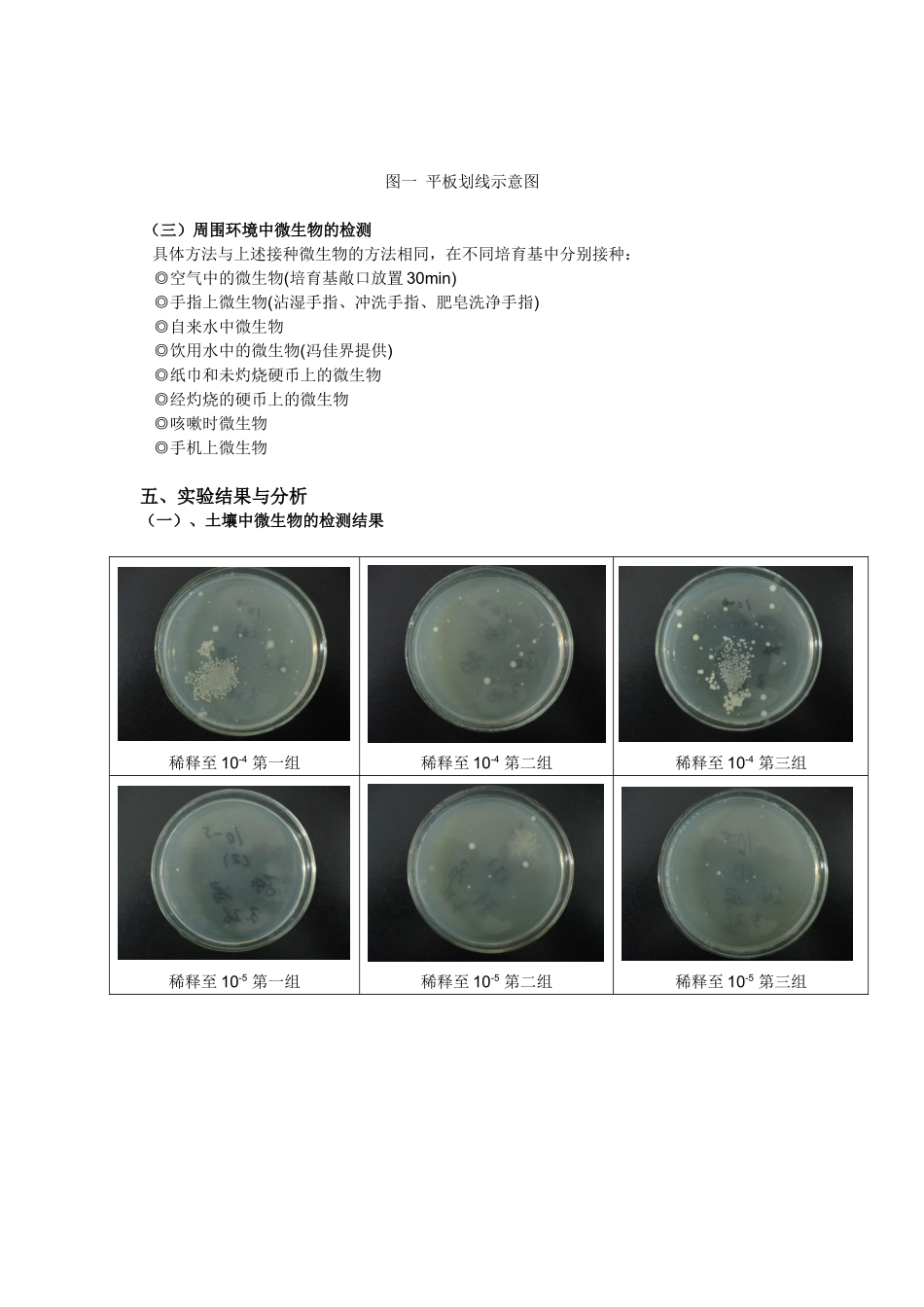 周围环境中微生物观察及分离实验_第3页