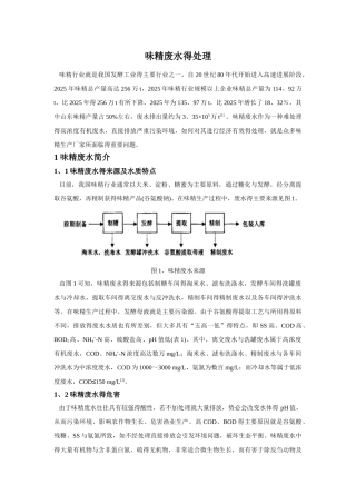 味精废水的处理