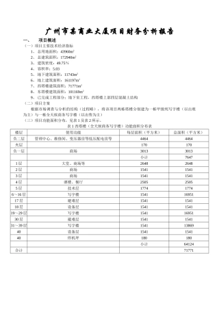 商业大厦房地产开发项目财务分析报告