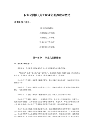 团队和员工的职业化养成与塑造