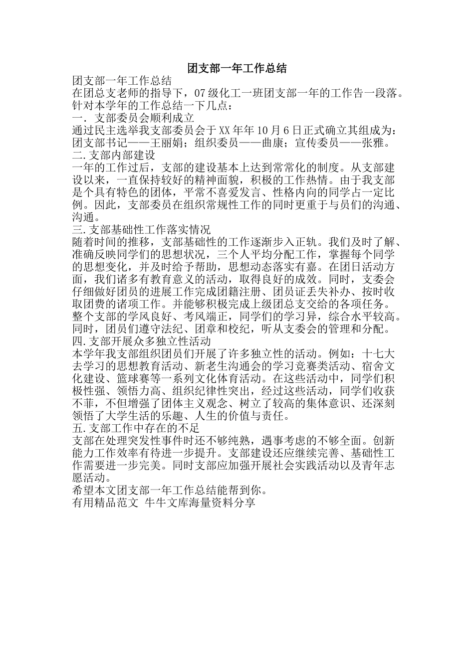 团支部一年工作总结-精品范文资料_第1页