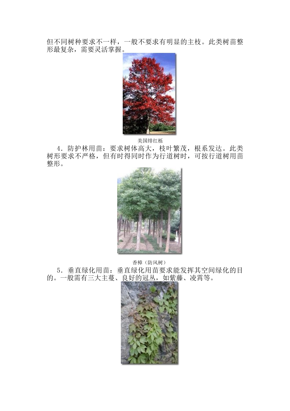园林植物的整形修剪技术_第3页