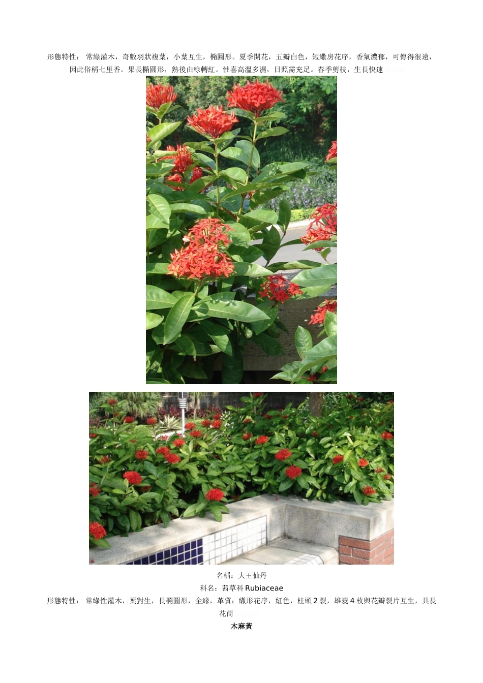 园林绿化景观植物大全_第2页