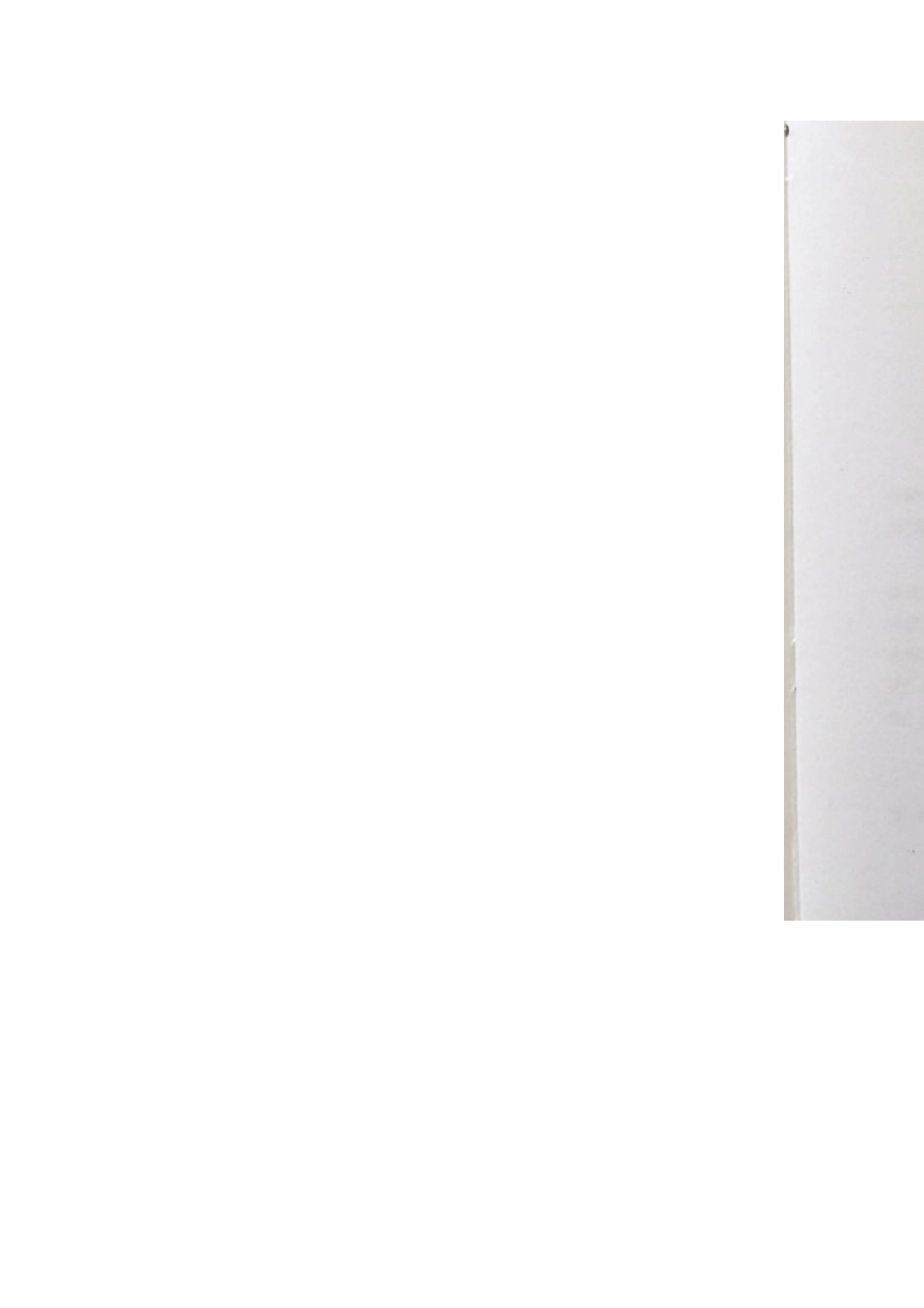 园林绿化费用定额2025_第2页