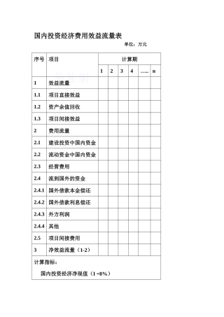 国内投资经济费用效益流量表