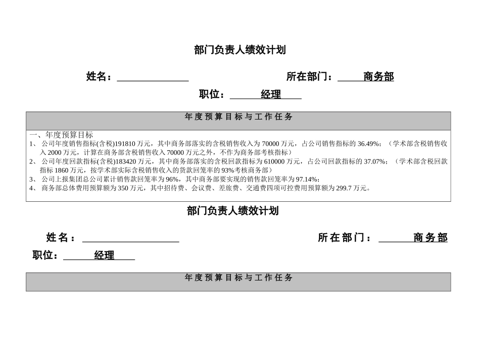 国药集团药业股份有限公司业务执行层绩效计划书很全面_第1页