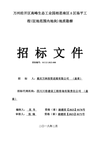 场平工程勘察招标文件