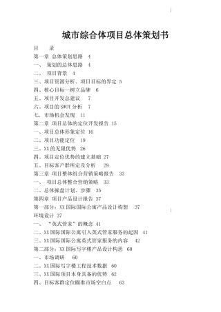 城市综合体项目总体策划书