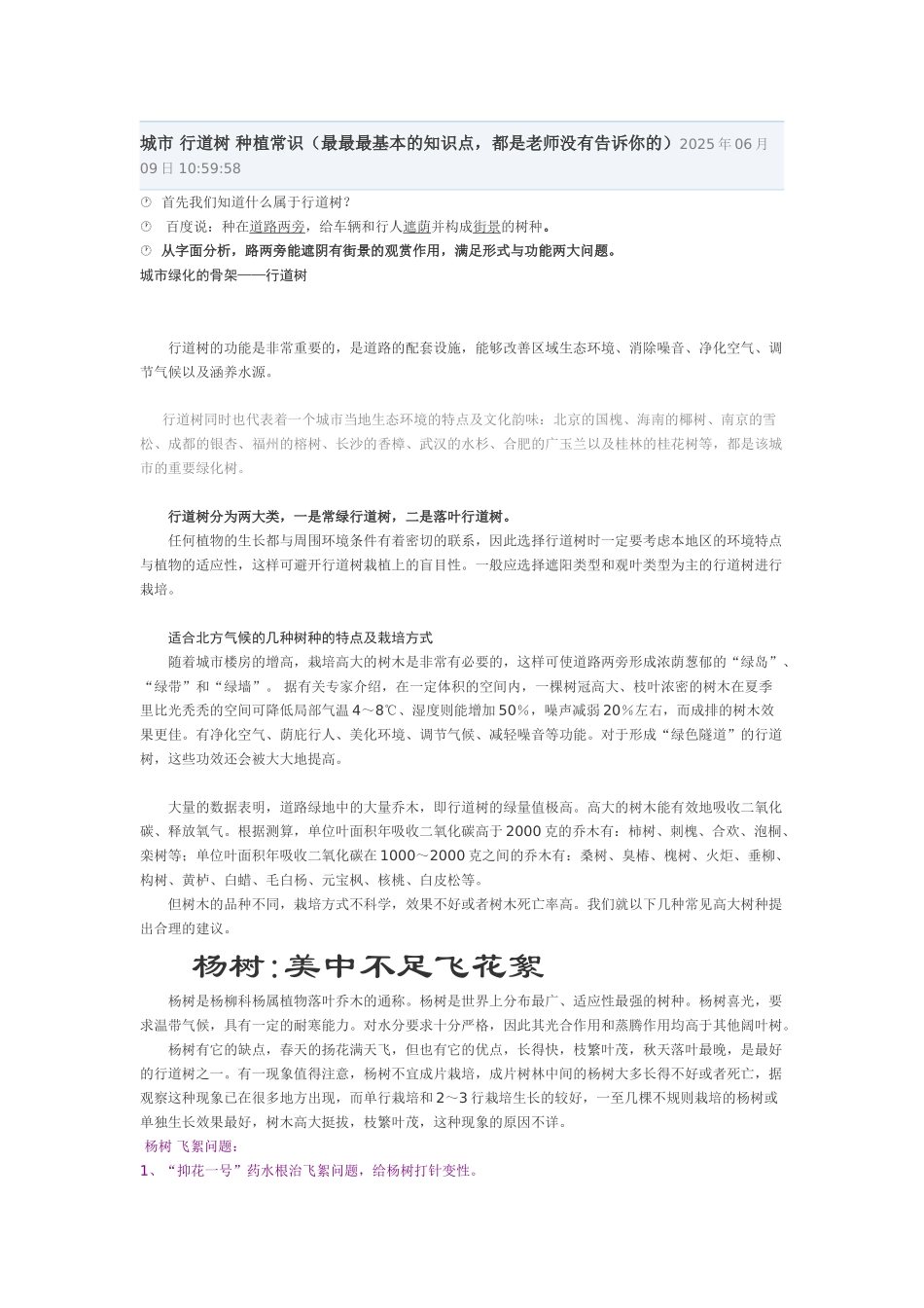 城市行道树种植常识_第1页