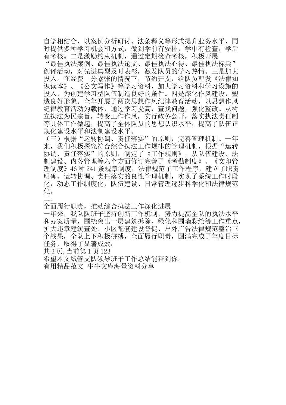 城管支队领导班子工作总结-精品范文资料_第2页