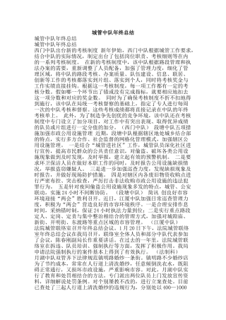 城管中队年终总结-精品范文资料