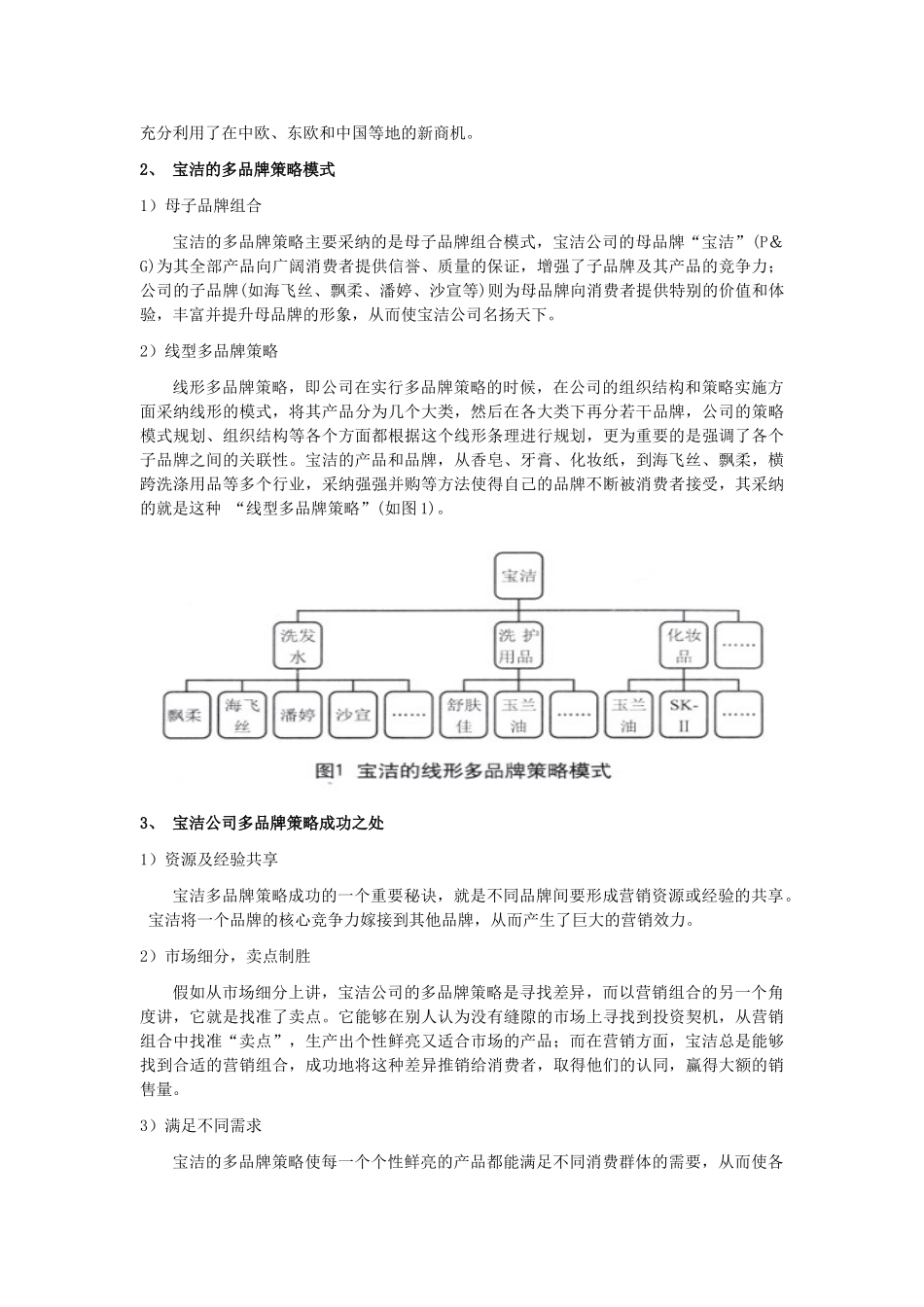 基于宝洁成功经验谈国内企业的多品牌策略_第2页
