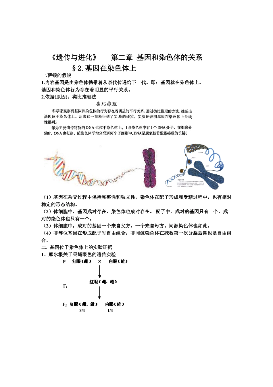 基因在染色体上伴性遗传1复习教案_第3页