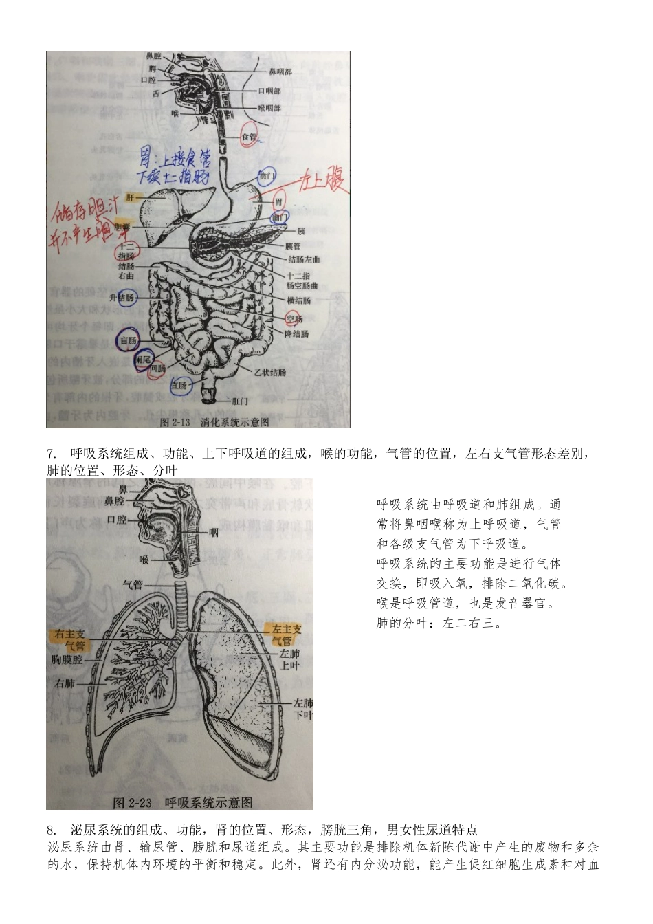 基础医学概论复习_第2页