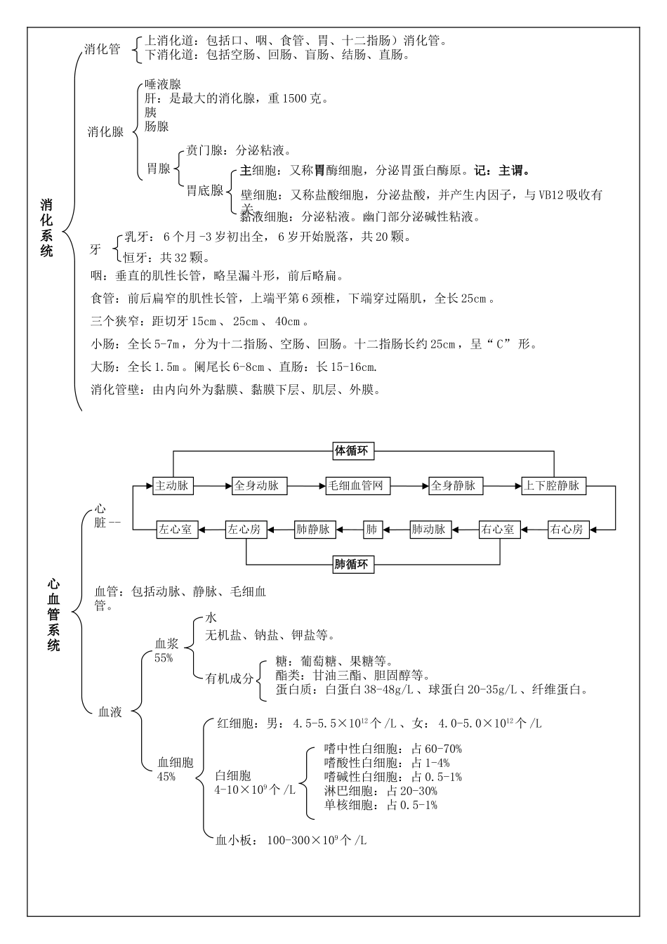 基础知识复习要点23456章_第2页
