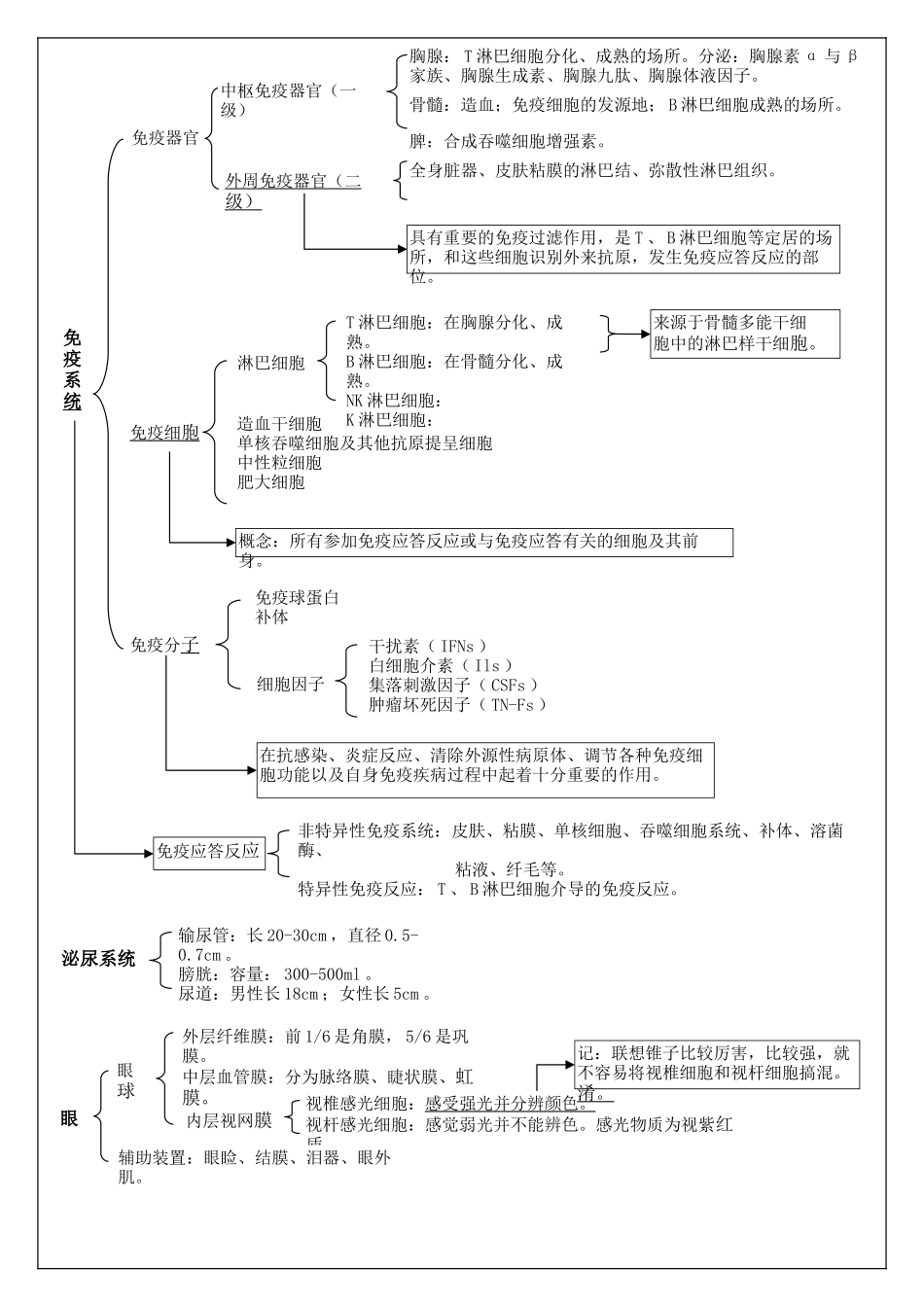 基础知识复习要点23456章_第3页