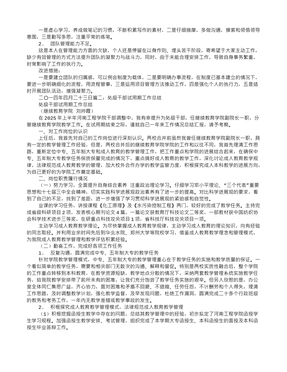 处级干部试用期转正工作总结_第2页