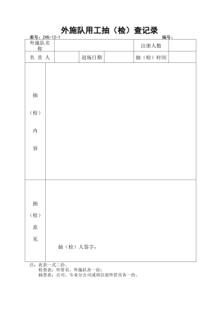 外施队用工抽查记录