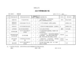 持续改进计划及检查