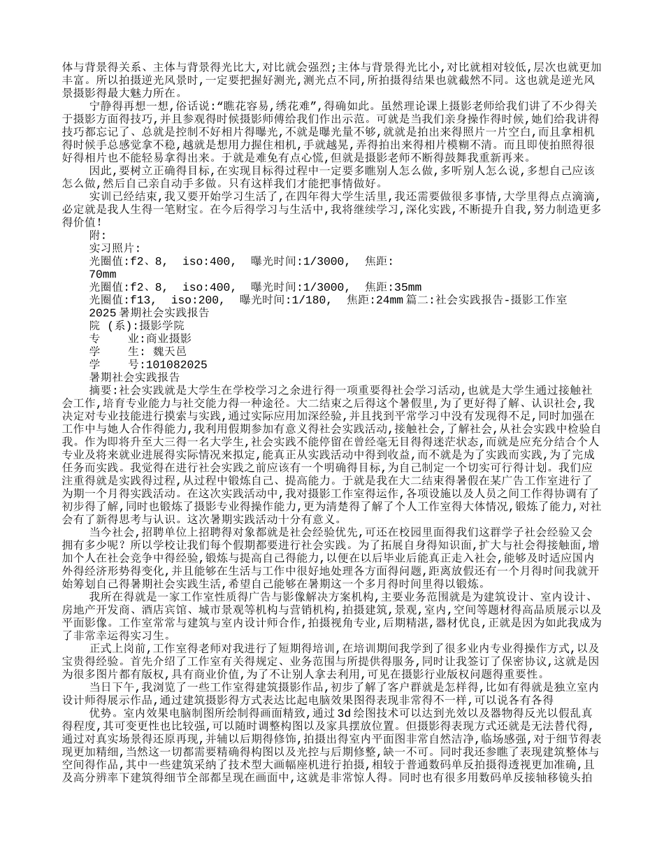 摄影社会实践报告_第2页