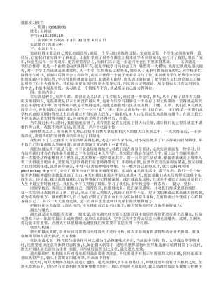 摄影社会实践报告