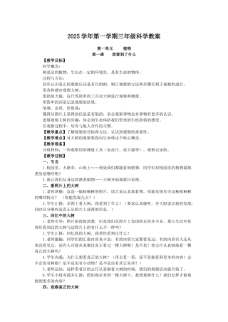 教科版科学三上《我看到了什么》教学简案