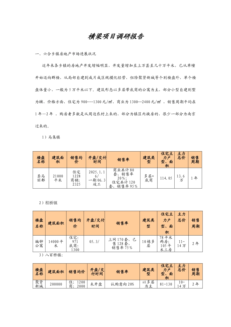 文化园项目调研报告_第1页
