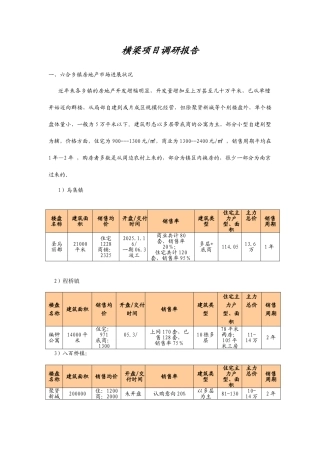 文化园项目调研报告
