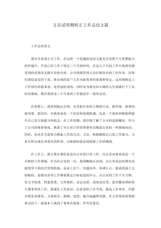 文员试用期转正工作总结2篇
