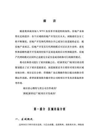 新世纪广场项目初步发展建议书