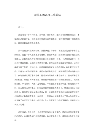 新员工2025年工作总结