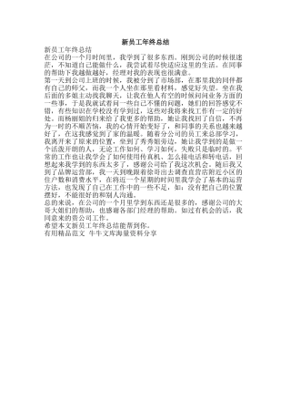 新员工年终总结-精品范文资料