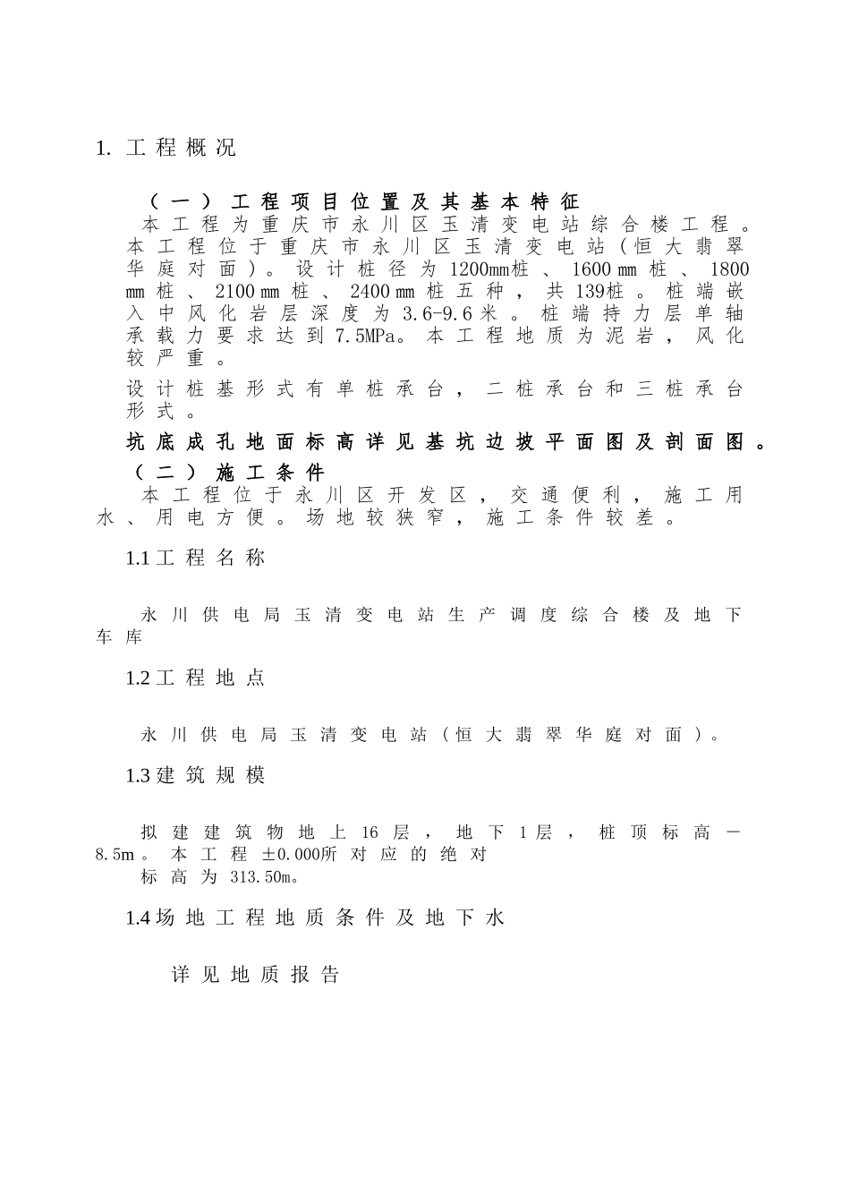 新旋挖成孔、混凝土灌注桩施工组织设计方案.doc_第1页