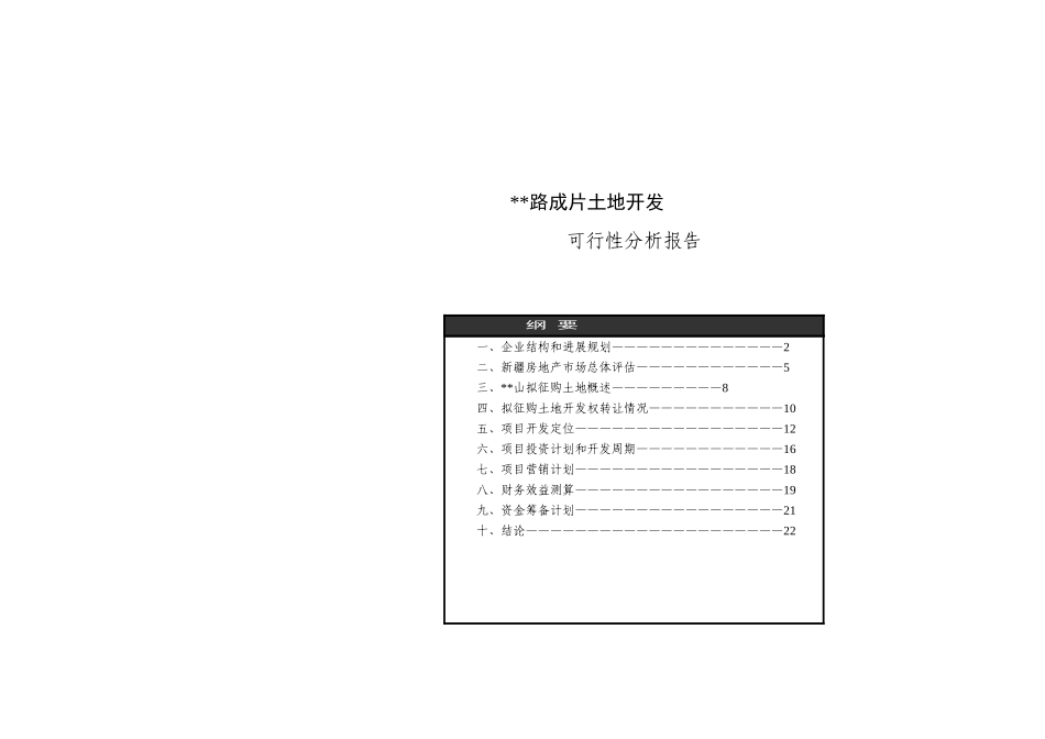 新疆鸿福房地产开发公司可行性报告_第1页