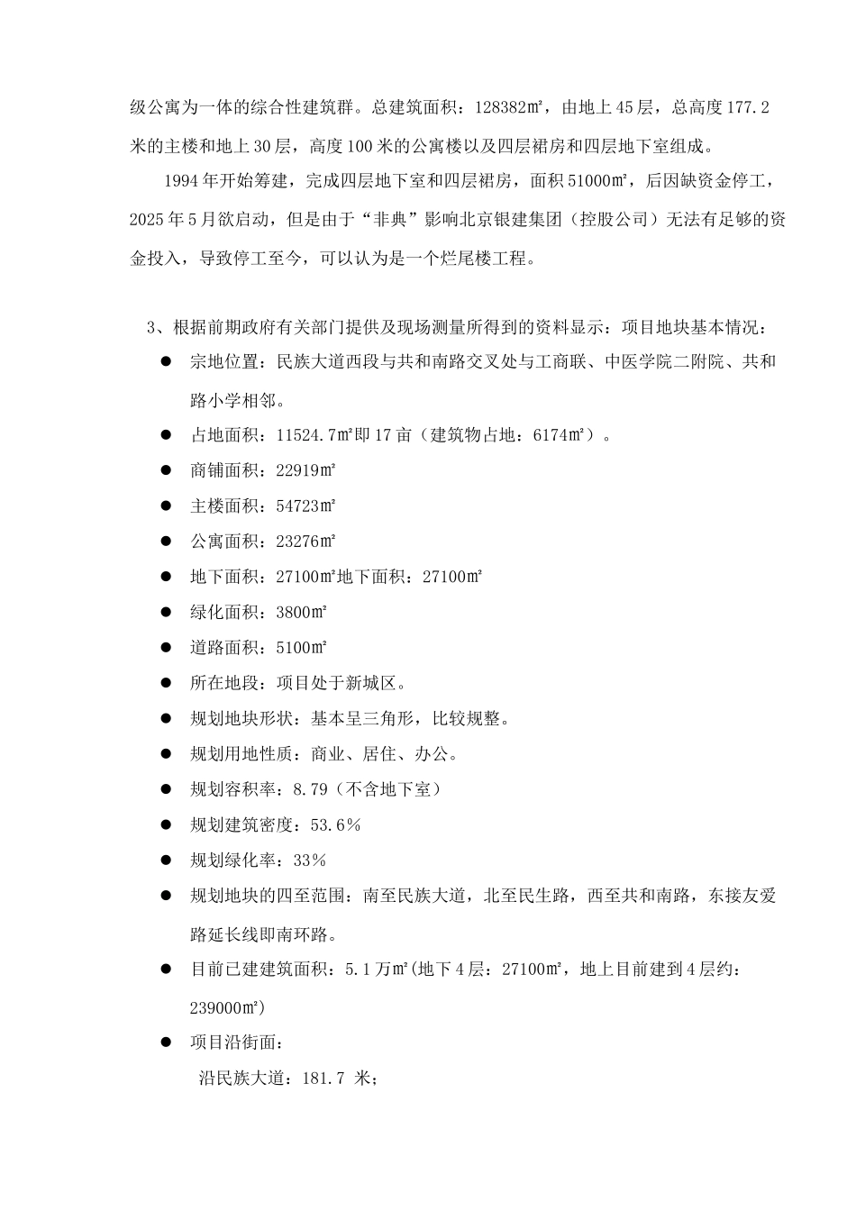 新项目可行性研究报告_第3页