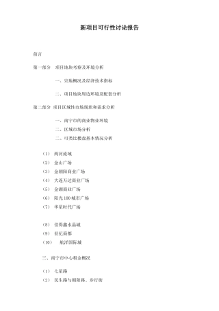新项目可行性研究报告