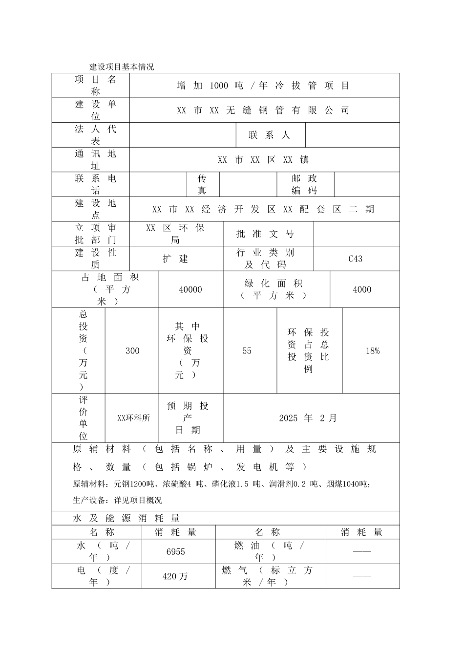 无缝钢管项目报告表_第1页